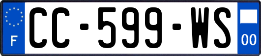 CC-599-WS