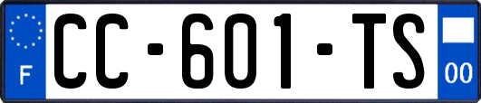 CC-601-TS