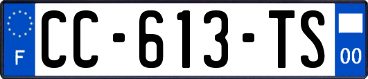 CC-613-TS