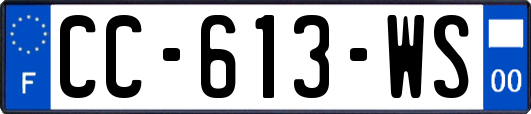 CC-613-WS