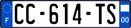 CC-614-TS