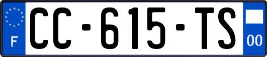 CC-615-TS