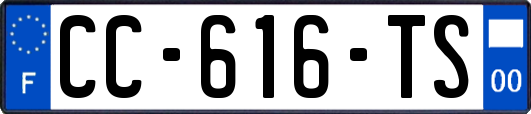CC-616-TS