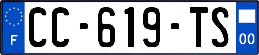 CC-619-TS