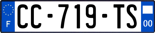 CC-719-TS