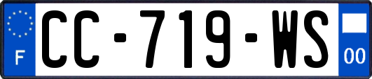 CC-719-WS