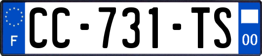CC-731-TS