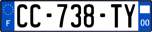 CC-738-TY