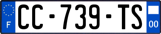 CC-739-TS