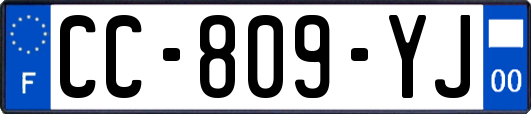 CC-809-YJ