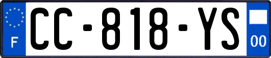 CC-818-YS