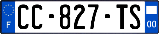 CC-827-TS