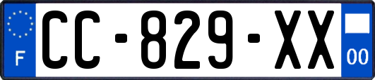 CC-829-XX