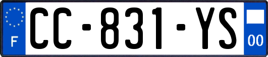 CC-831-YS