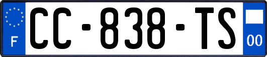CC-838-TS