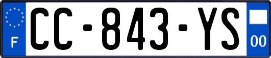 CC-843-YS