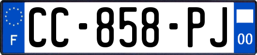 CC-858-PJ