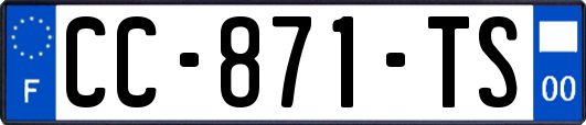 CC-871-TS