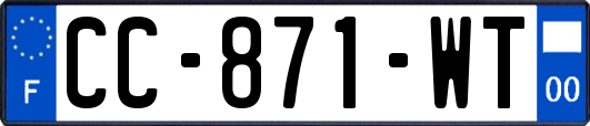 CC-871-WT