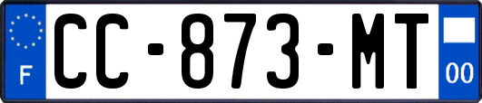 CC-873-MT