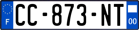 CC-873-NT
