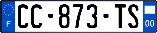 CC-873-TS