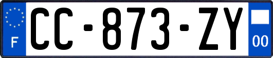 CC-873-ZY