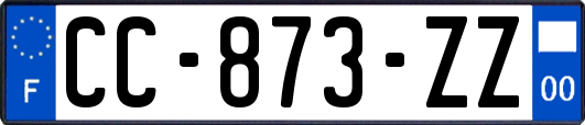 CC-873-ZZ