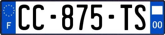 CC-875-TS