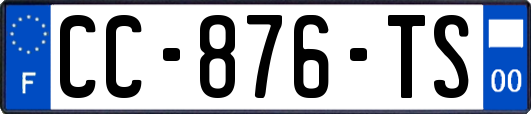 CC-876-TS