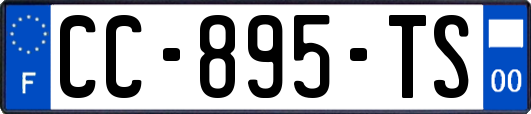 CC-895-TS