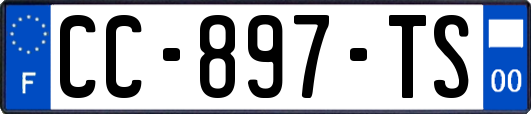 CC-897-TS
