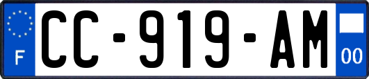 CC-919-AM