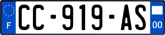 CC-919-AS