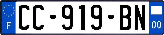 CC-919-BN