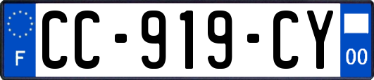 CC-919-CY