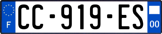 CC-919-ES