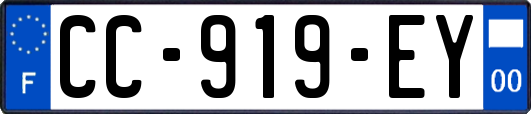 CC-919-EY