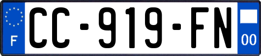 CC-919-FN