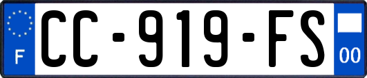 CC-919-FS