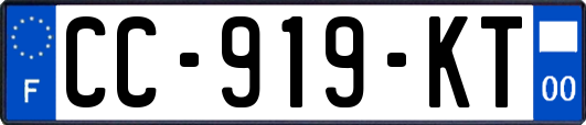 CC-919-KT