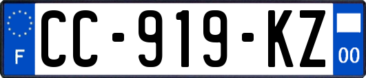 CC-919-KZ