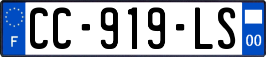 CC-919-LS
