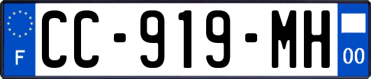 CC-919-MH