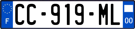 CC-919-ML