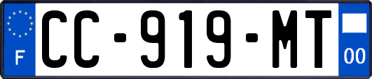 CC-919-MT