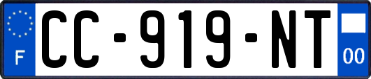 CC-919-NT