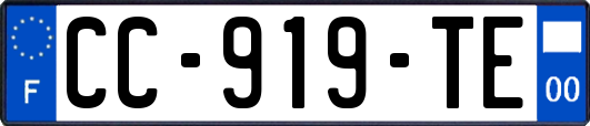 CC-919-TE