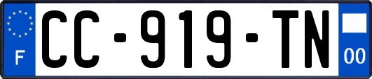 CC-919-TN