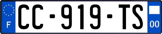 CC-919-TS